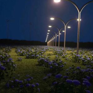 日本特黄一级AA大片24免费
